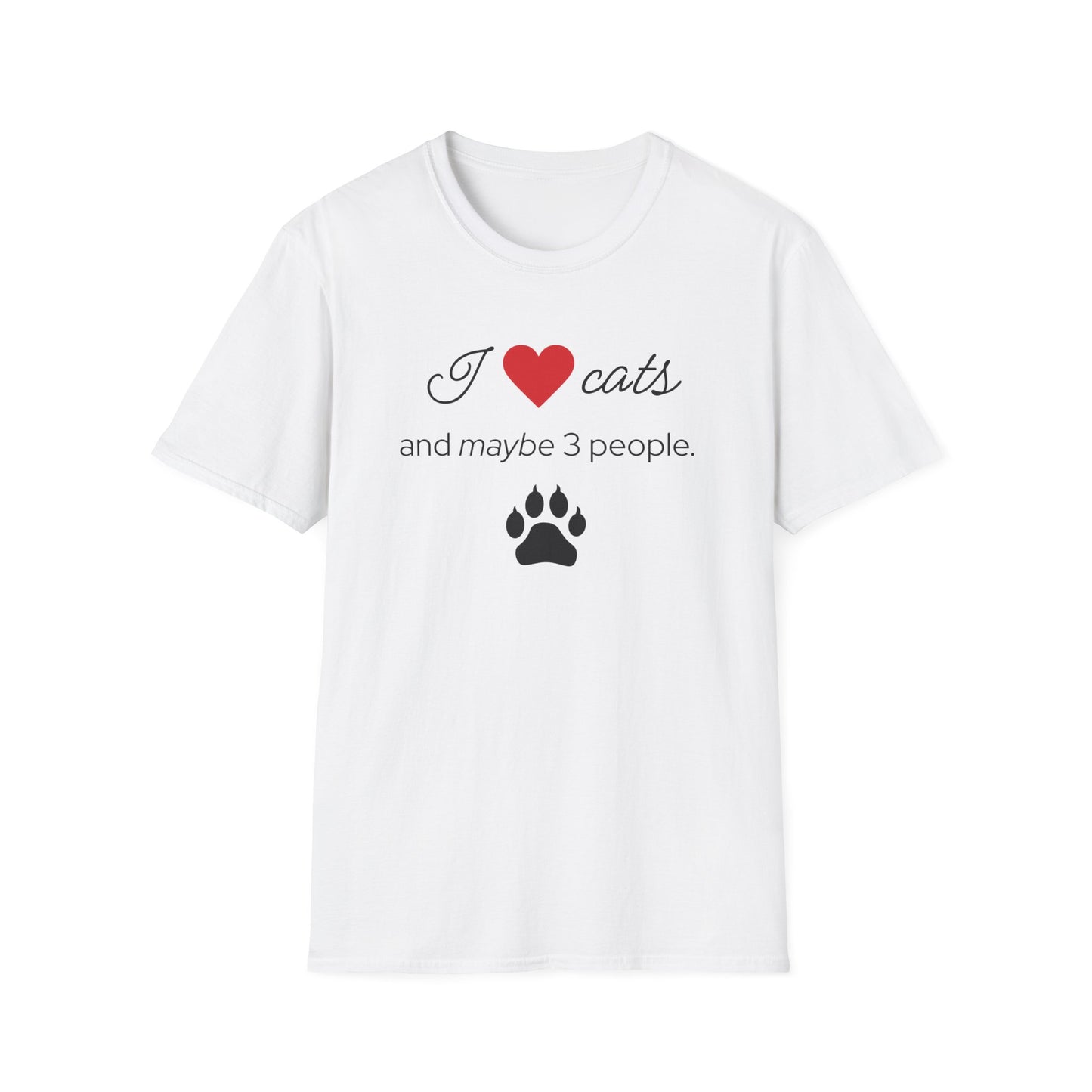 I Love Cats and Maybe 3 People T-Shirt